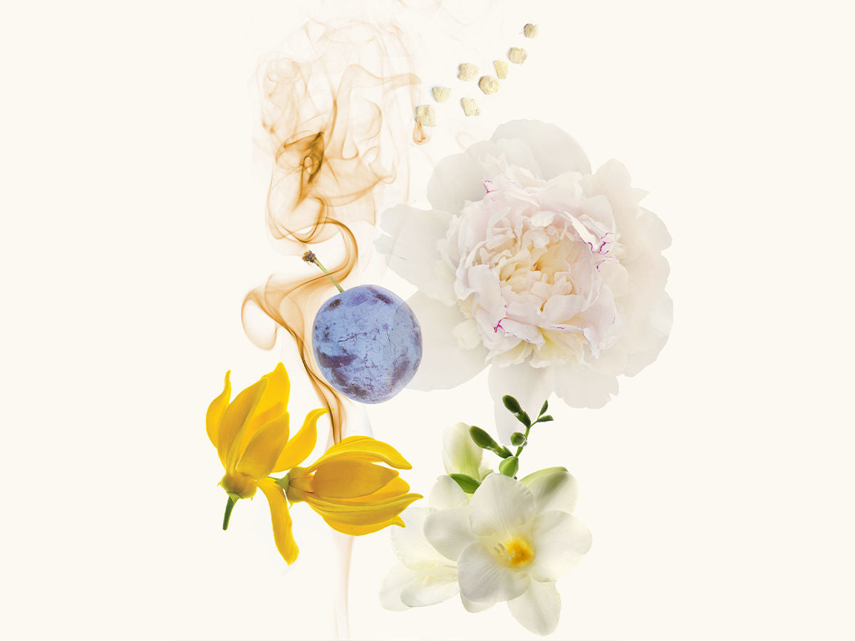 White Eau de Parfum 100ml