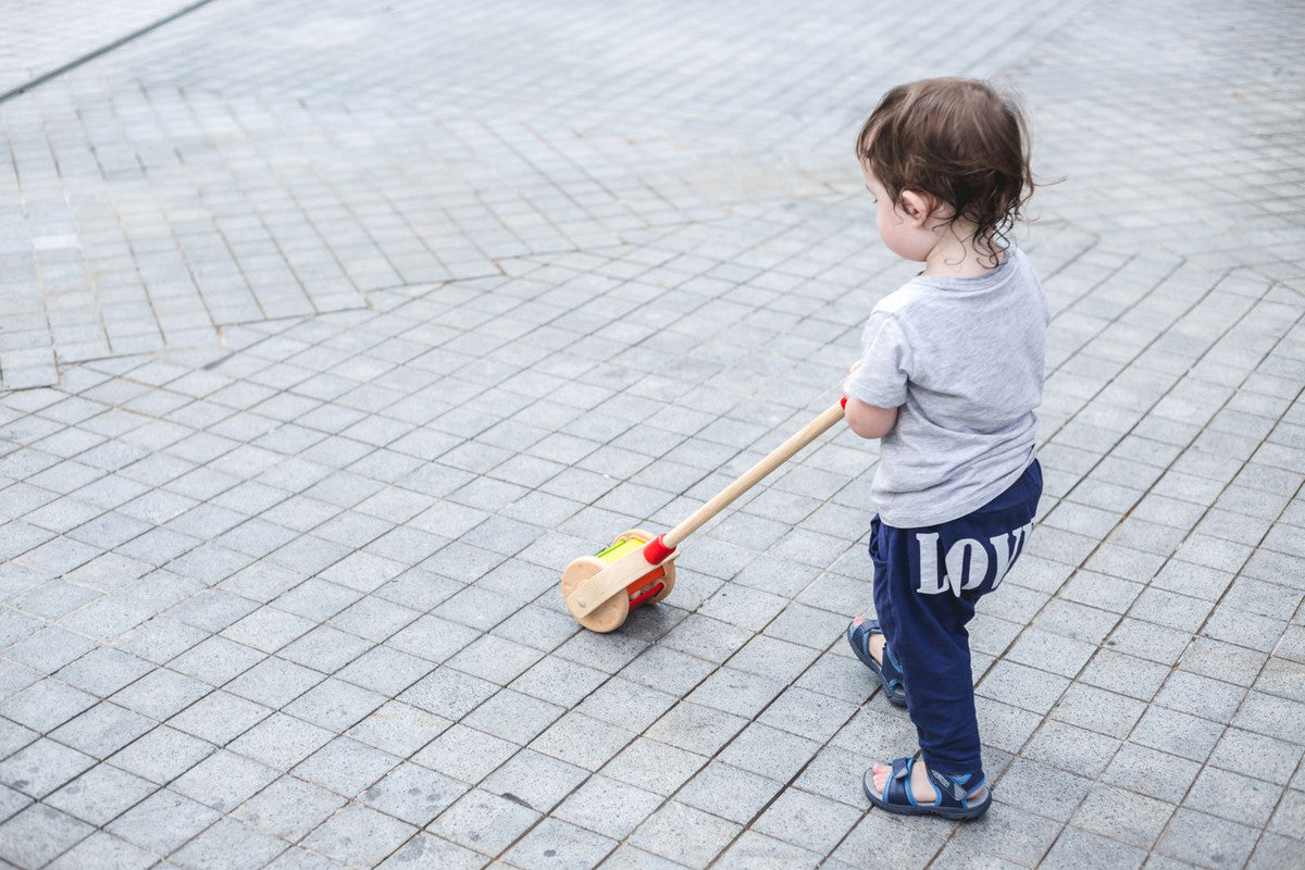 PlanToys Walk N Roll