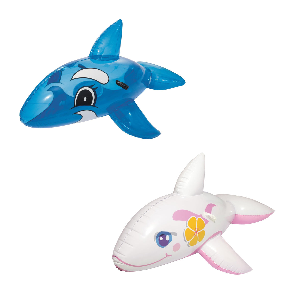 BWAY RIDER WHALE 157x94CM