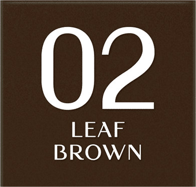 Ginger Tiny Brow 0.06g+1g Baby Bright (M) 02 Leaf Brown