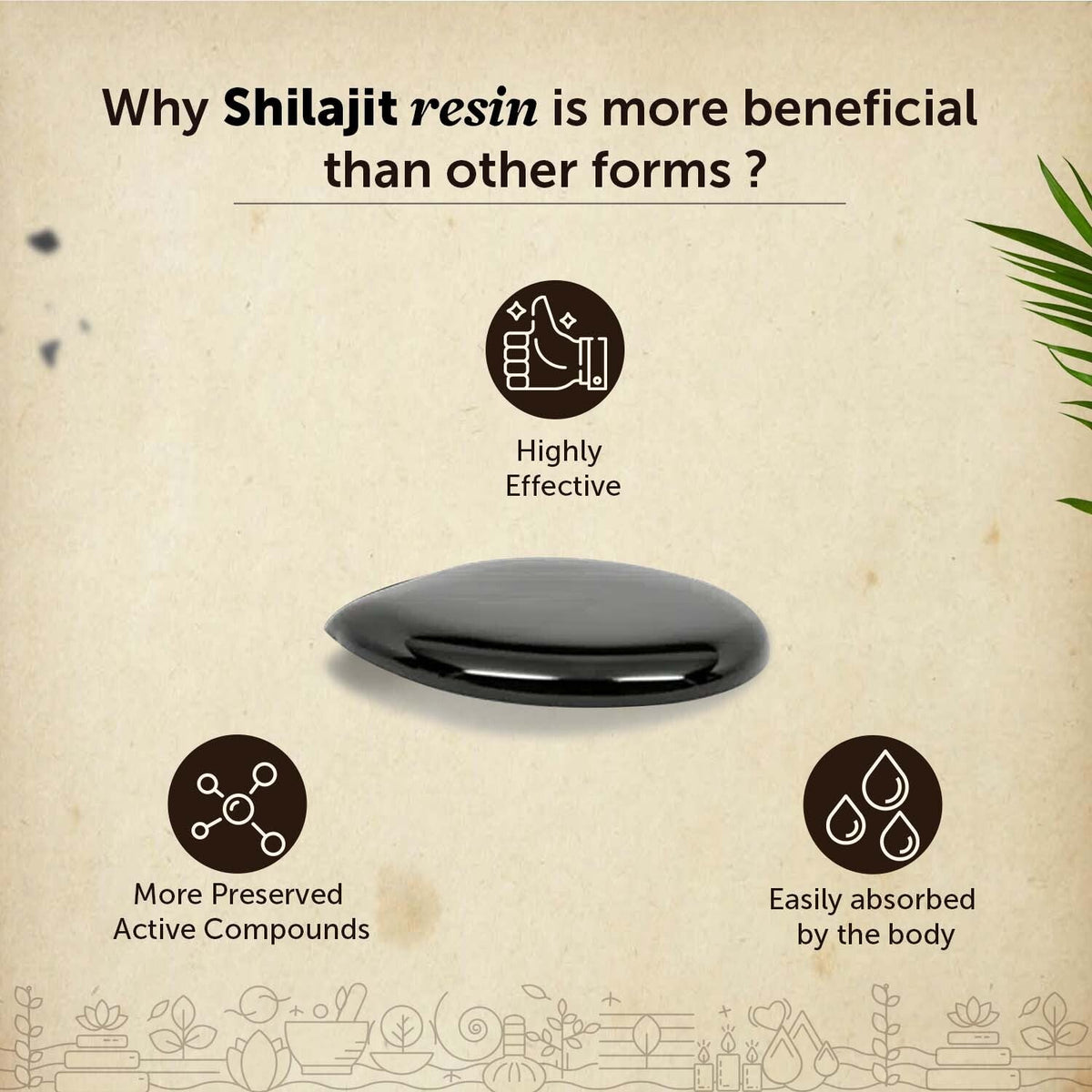 Neuherbs Pure Himalayan Shilajit 15g