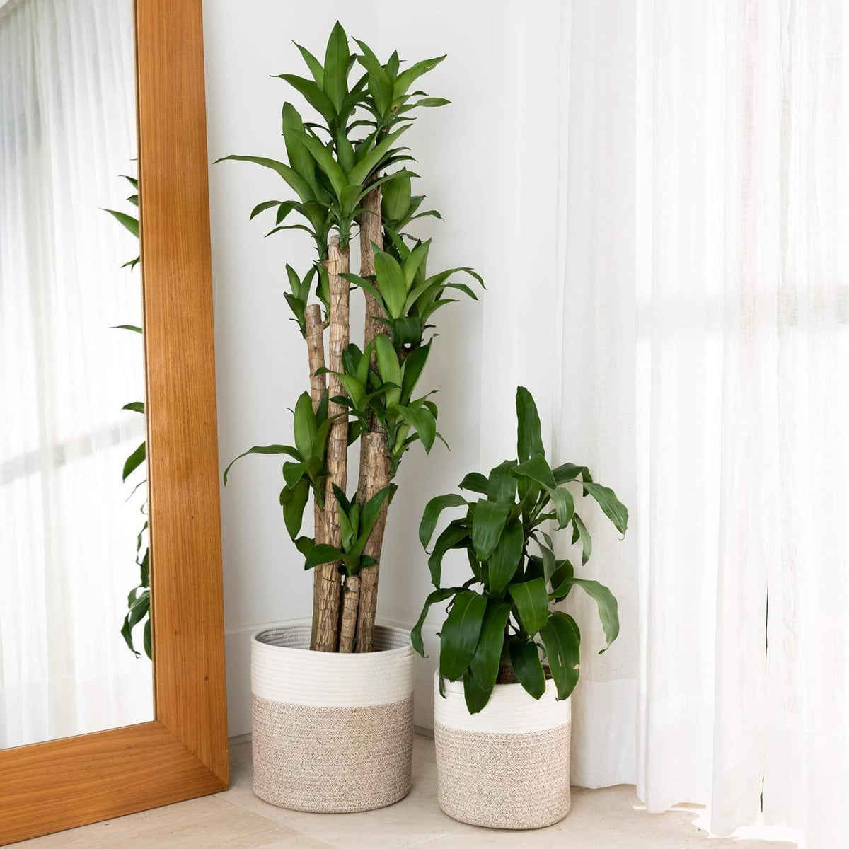 2Pcs Mini Woven Jute Cotton Rope Plant Storage Basket