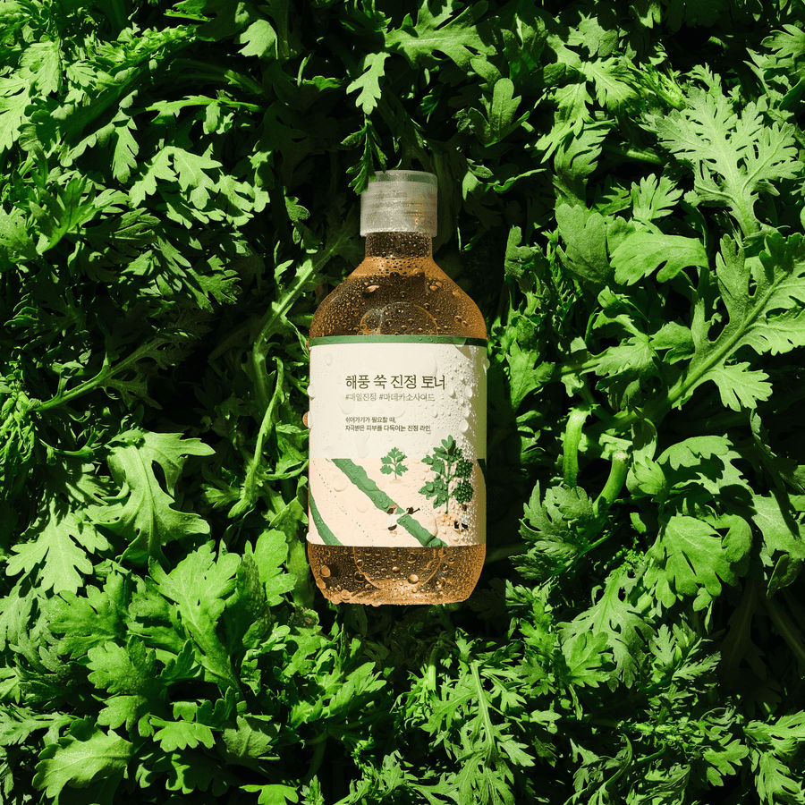 Round Lab Mugwort calming toner 300ml