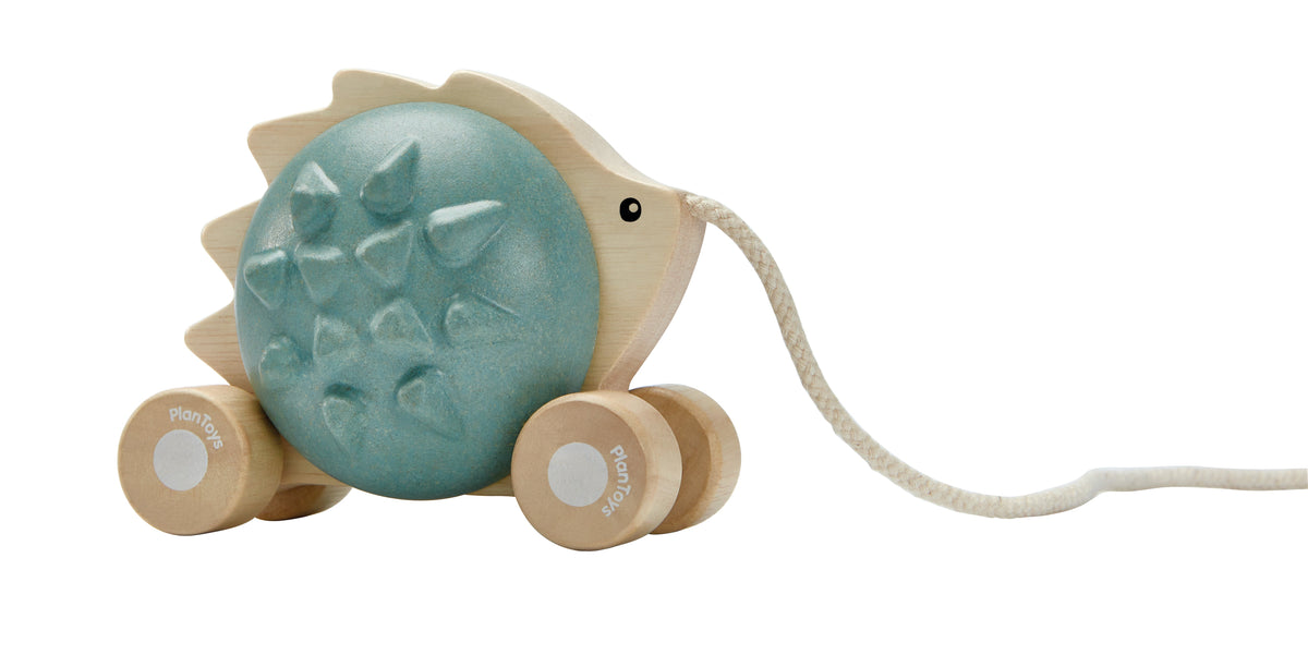 PlanToys Pull - Along Hedgehog - Blue