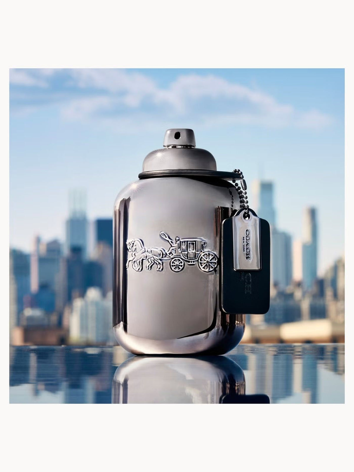 Pure Platinum Parfum