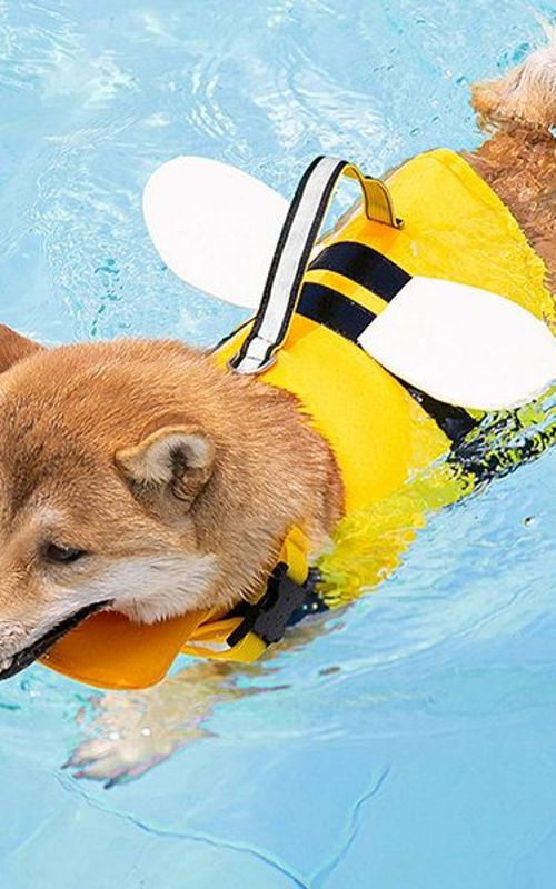 Dog Life Jacket Pet Float Coat Safety Vest Summer Dog Swimming Clothes Lifesaver