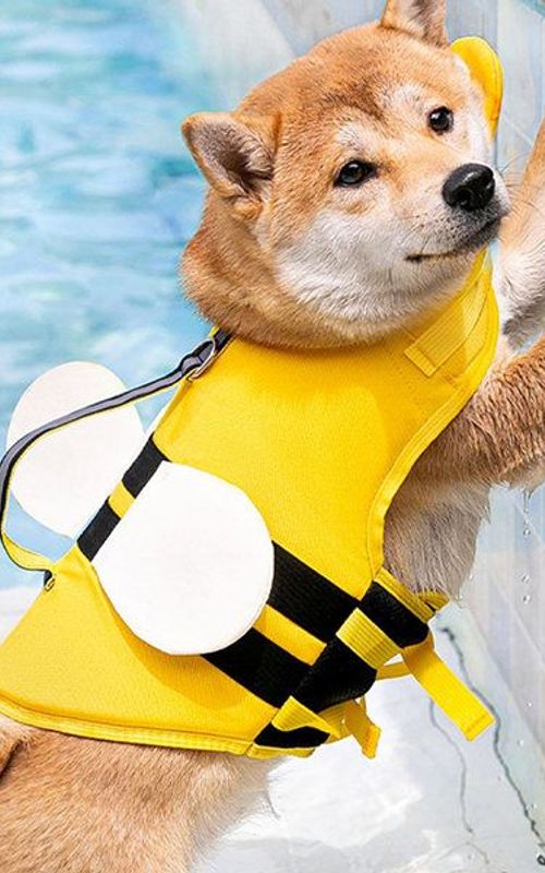 Dog Life Jacket Pet Float Coat Safety Vest Summer Dog Swimming Clothes Lifesaver