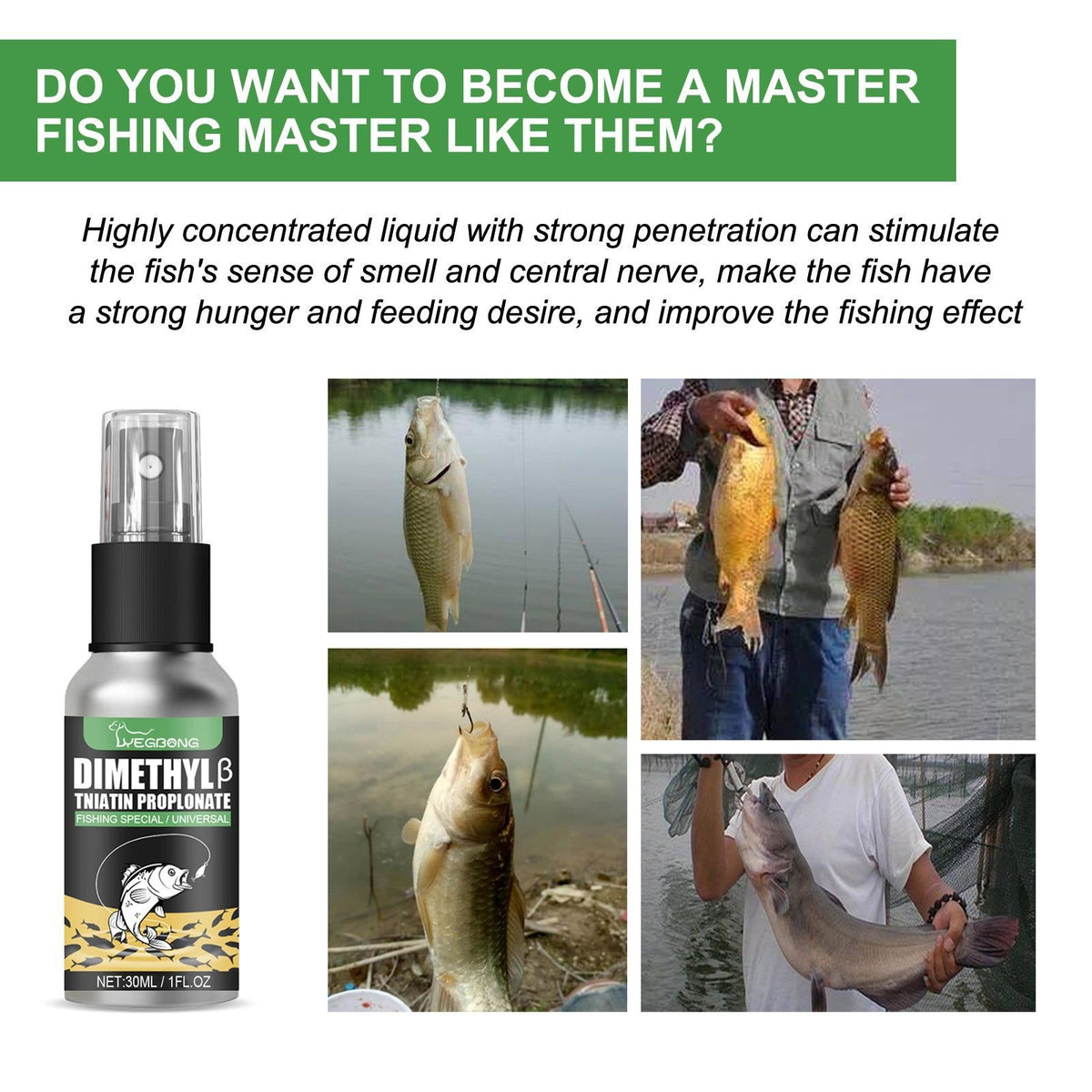 Bait Attractant, Fish Magnet, Ultimate Fishing Lure, Fish Hook Bait, Effective Fish Attractor ,30ml