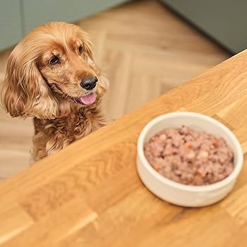 Lily's Kitchen Lamb Hotpot Wet Dog Food 400G