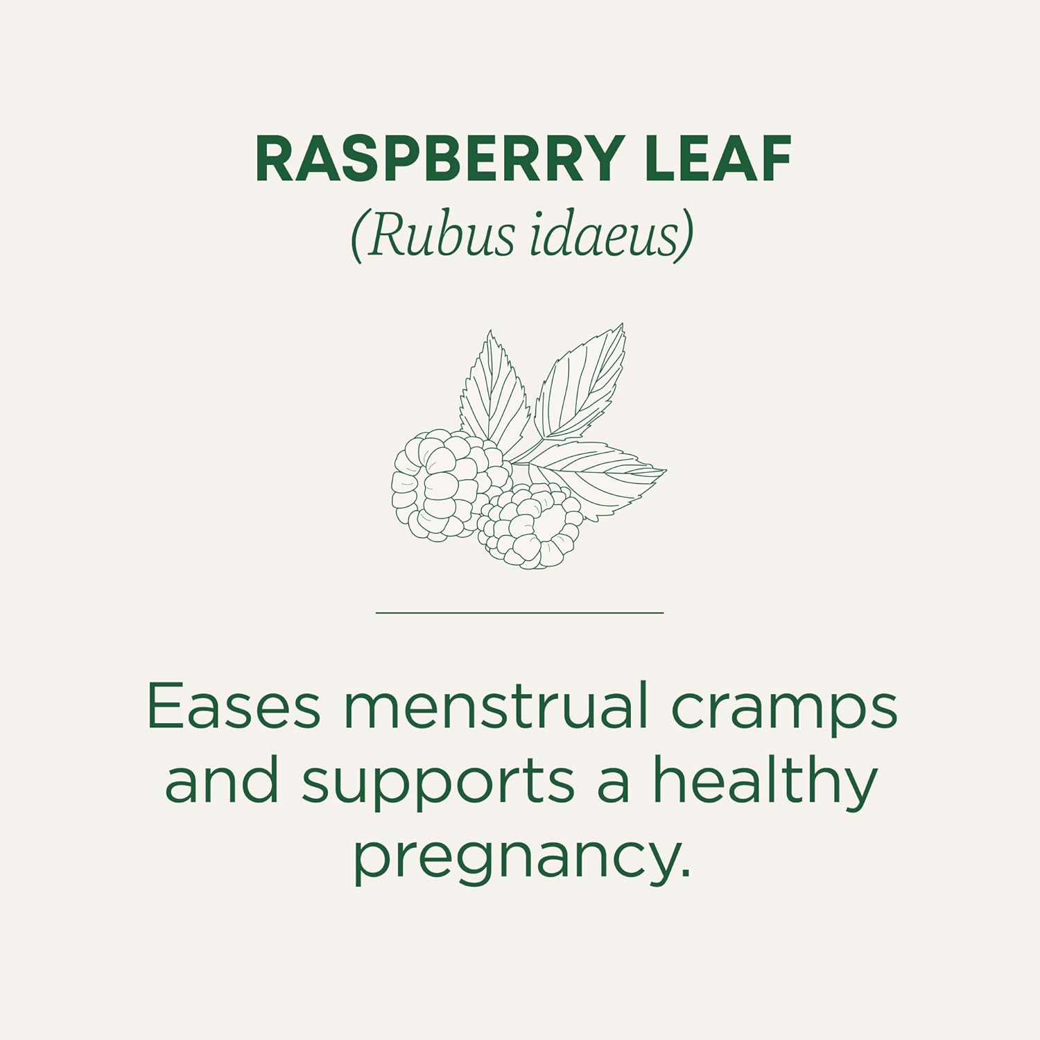 Traditional Medicinal Raspberry Leaf, 16 Teabags