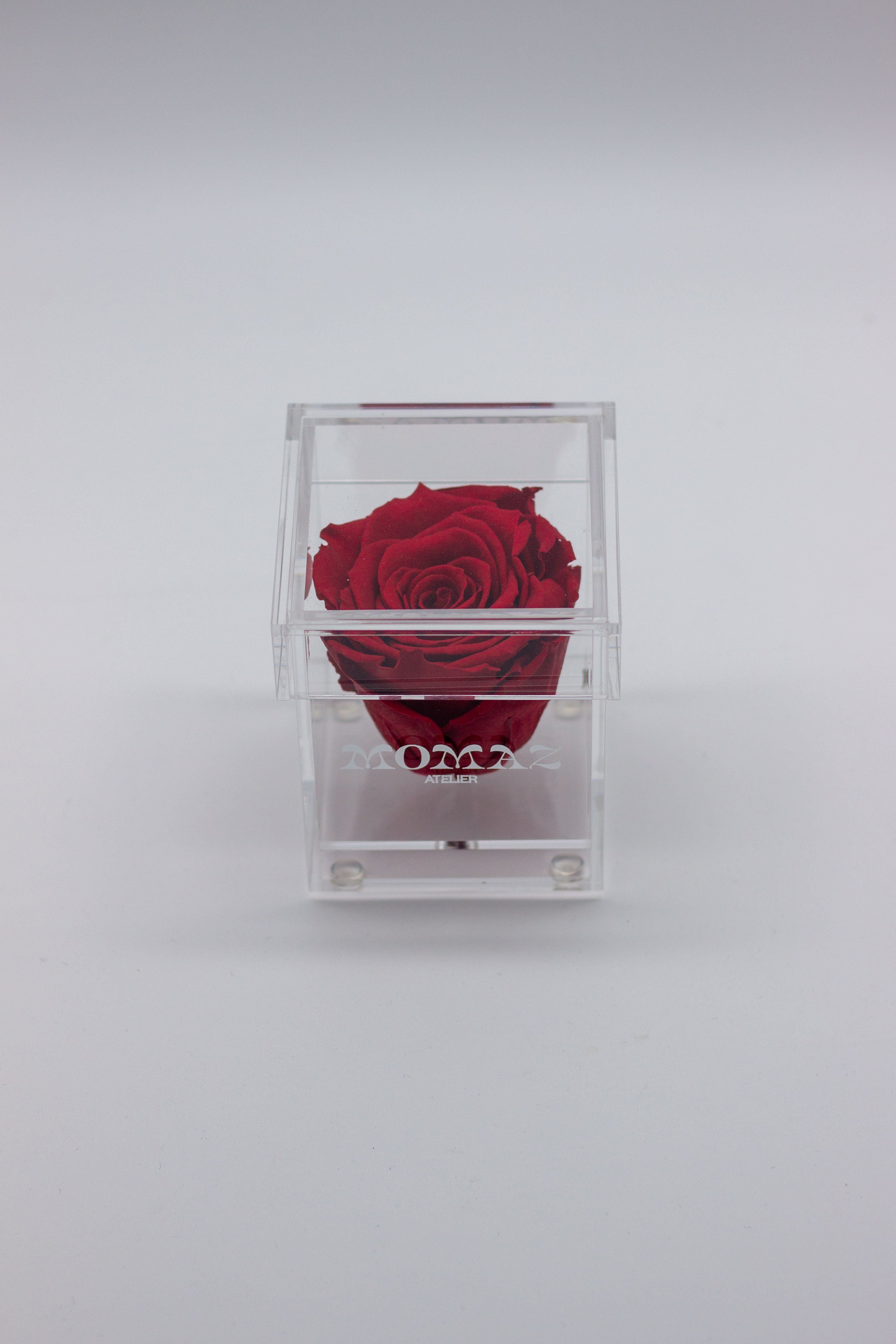 Long Life Single Rose-Red