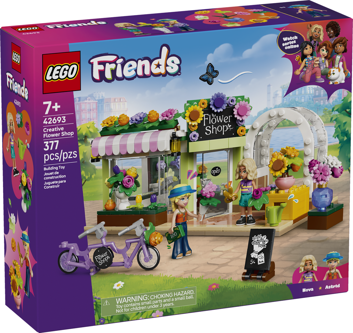 42693 Creative Flower Shop V29