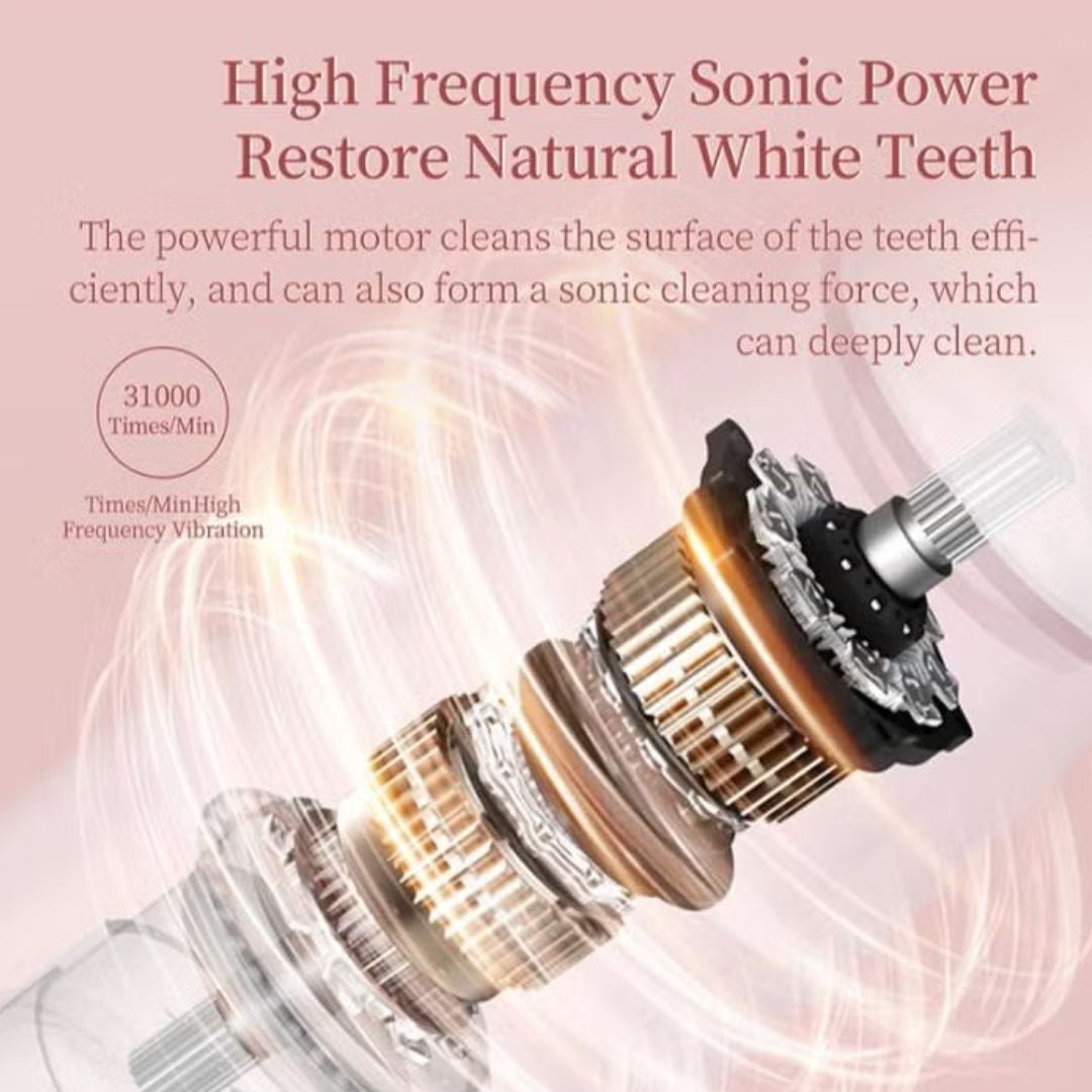 ENCHEN T501 Sonic Electric Toothbrush, 31,000 Vibrations/Minute, 3 Cleaning Modes, USB Rechargeable