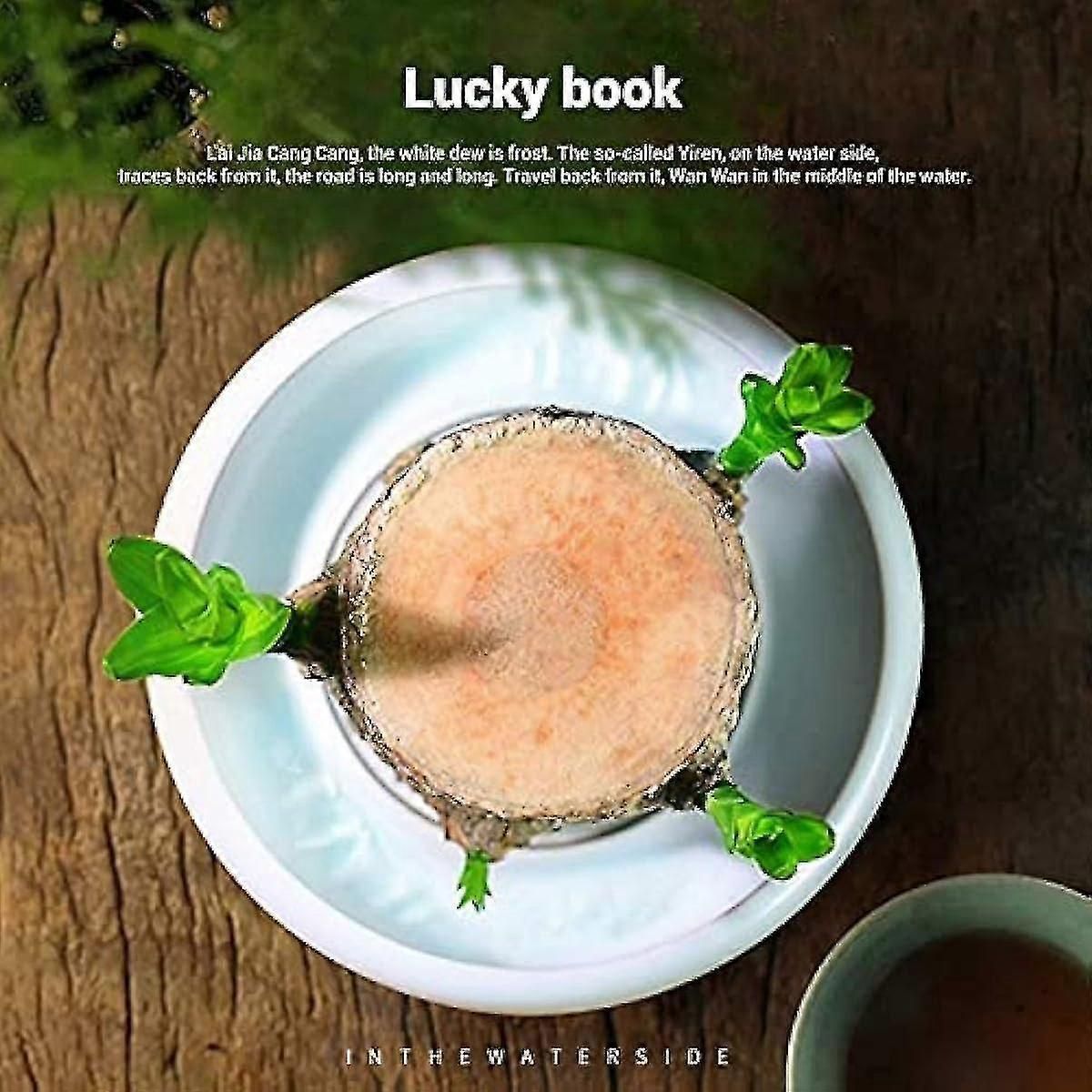 Mini Brazil Lucky Wood - Magical Sprouting Lucky Bamboo Wood Hydroponic Potted Plant Stump Small Mini Plant Indoor Office Desktop Plant (brazilian Wo zxin