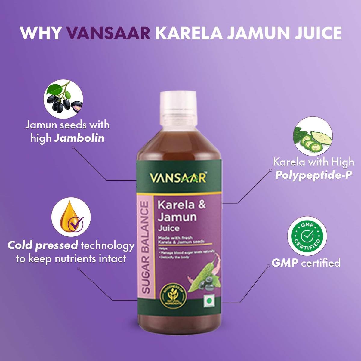 Vansaar Karela Jamun Juice 1 L