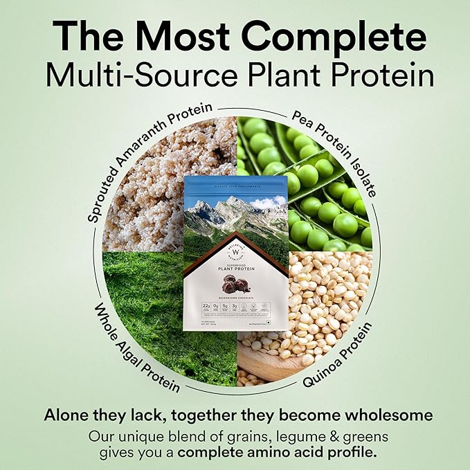 Wellbeing Nutrition Superfood Plant Protein Belgian Dark Chocolate