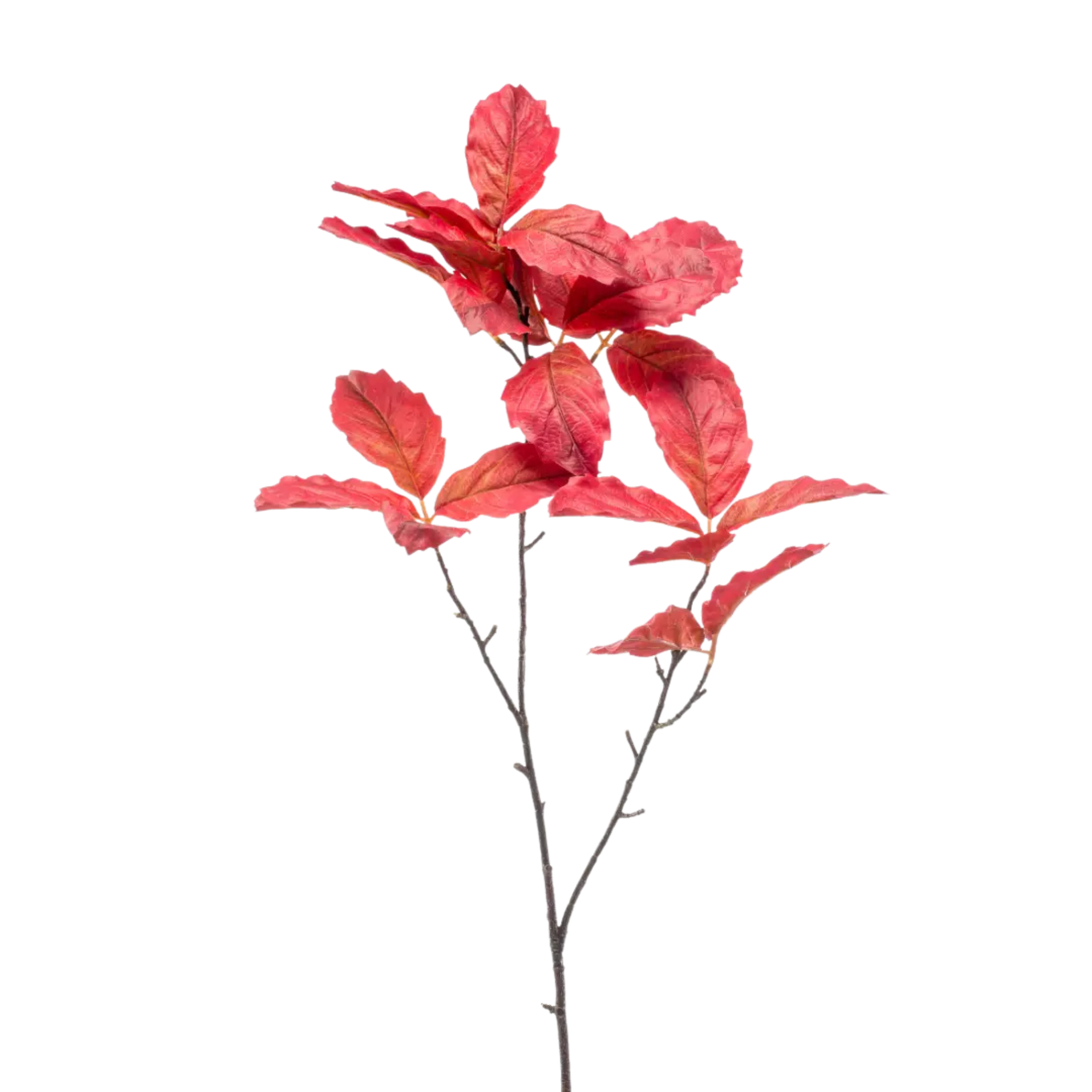 Chestnut Leaf Spray Red