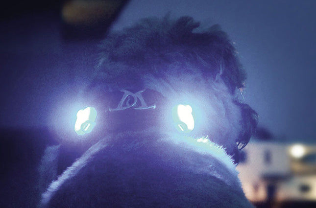 Curli Luumi LED Safety Lights