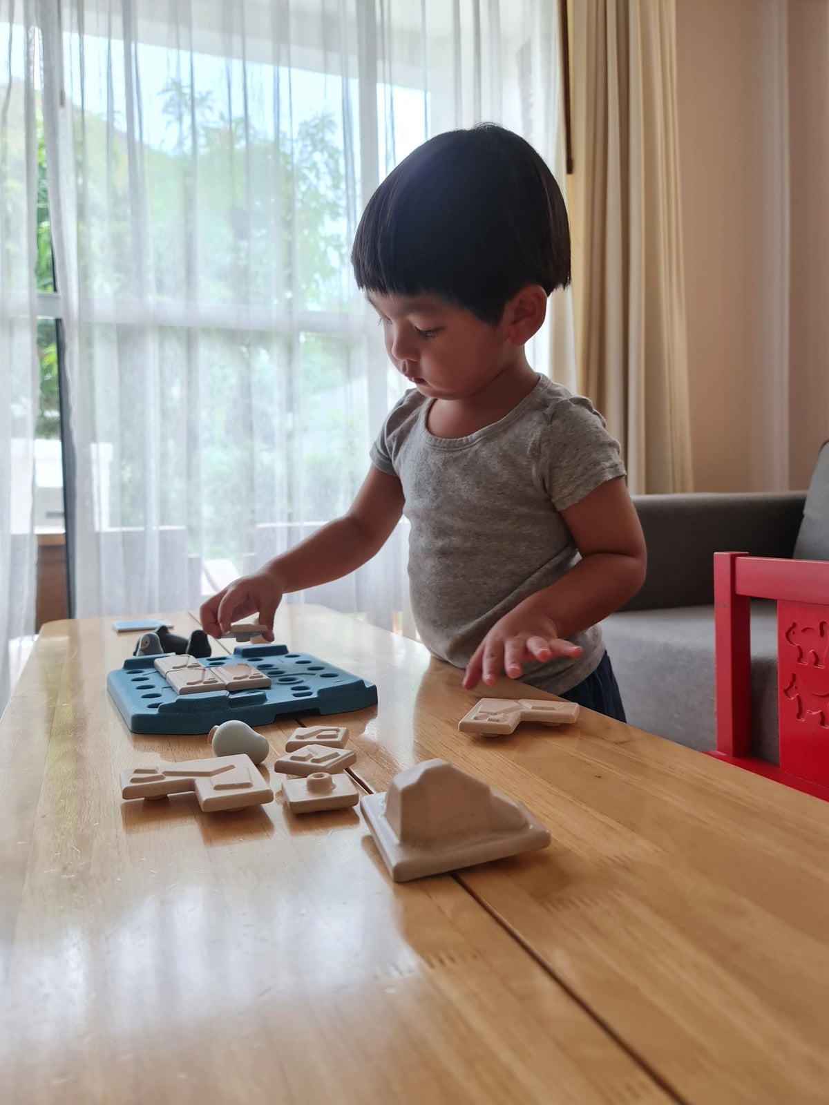 PlanToys Finding Penguin Game