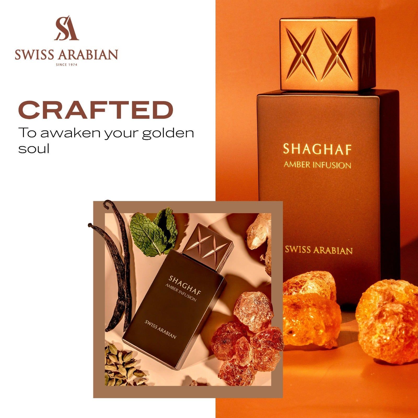 SHAGHAF AMBER INFUSION