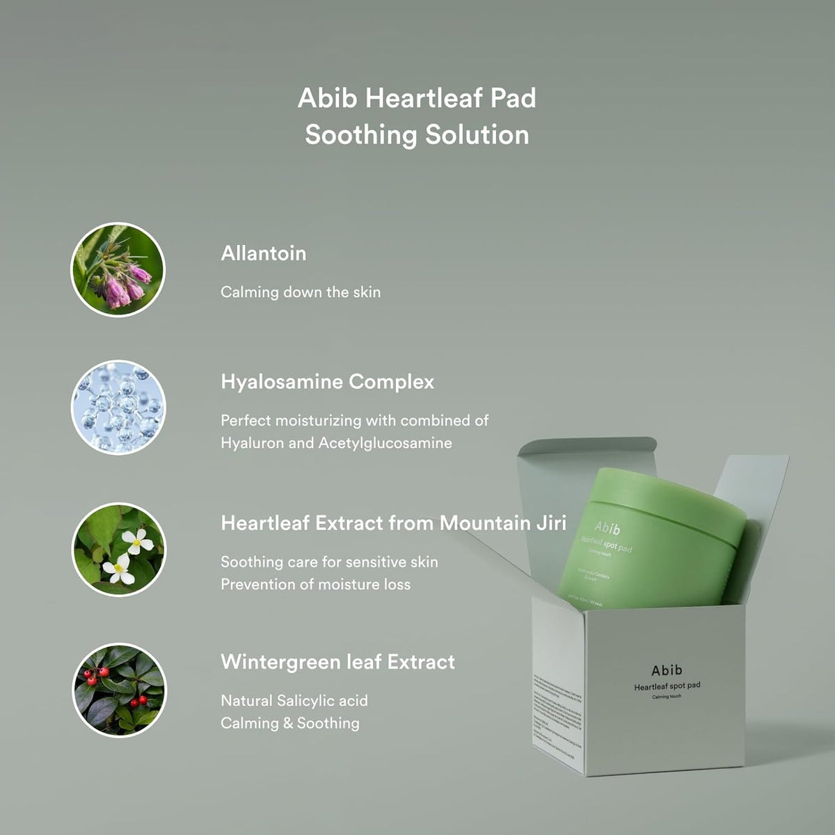 Abib Heartleaf Spot pad Calming touch (75 pads)