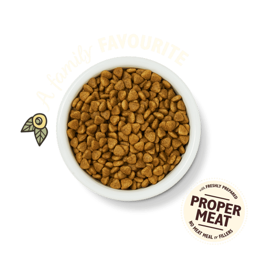Lily's Kitchen Chicken Casserole Dry Cat Food -2kg