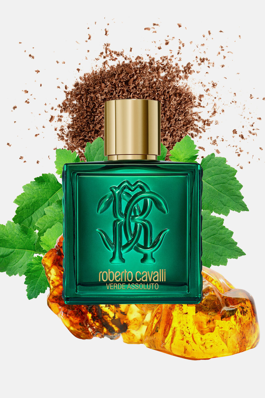 Uomo Verde Assoluto Eau de Parfum 100ml