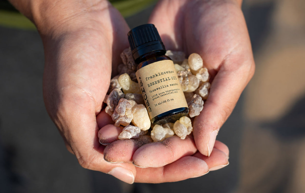 100% Pure Omani Hojari Frankincense Essential Oil (Boswellia sacra) – 15 mL