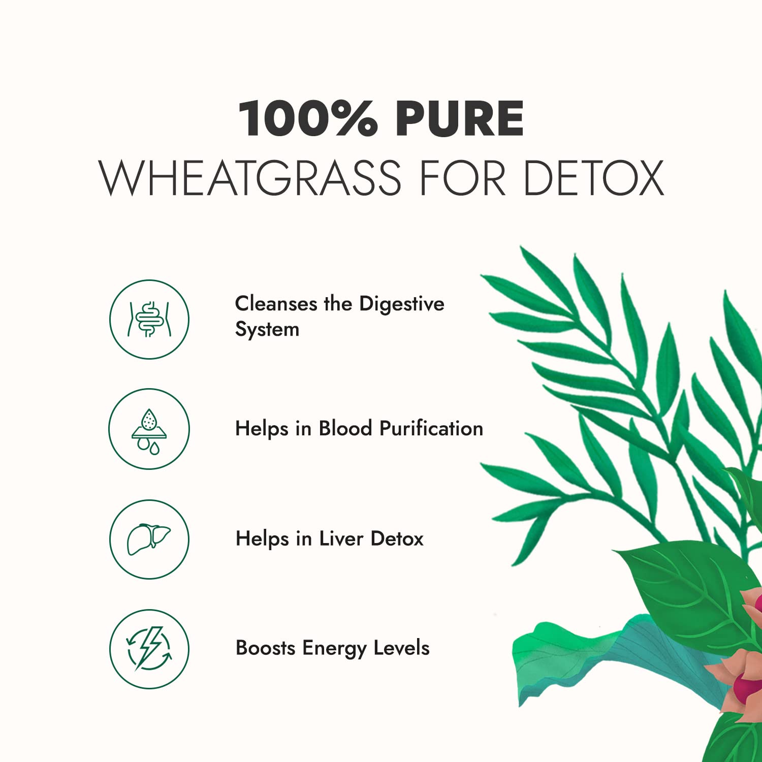 Kapiva Wheatgrass Juice - Herbal Supplement to Help Detoxify the Liver, Cleanse the Digestive System, and Purify Blood, 1 L (2/pack)