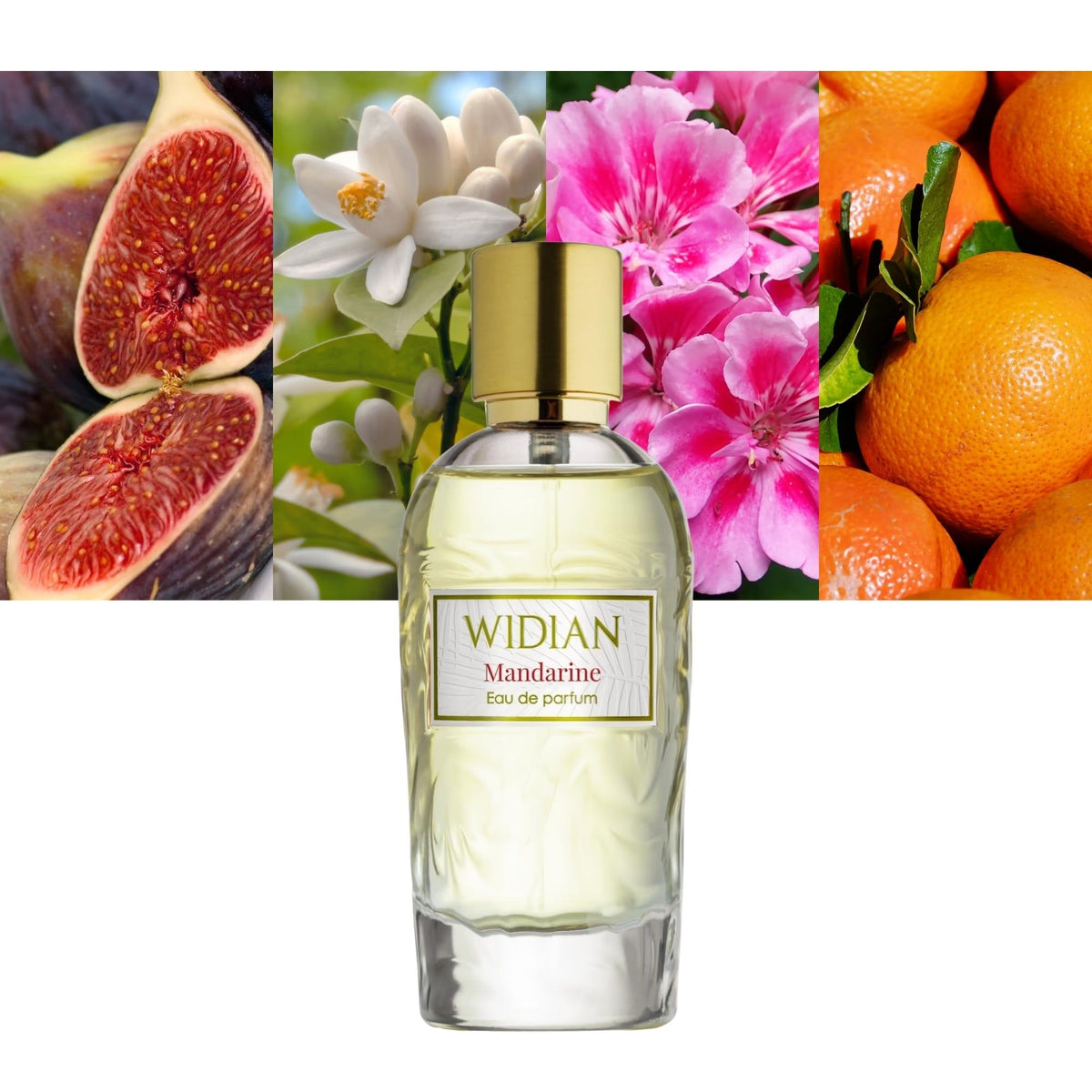 Mandarine Eau de Parfum 100ml