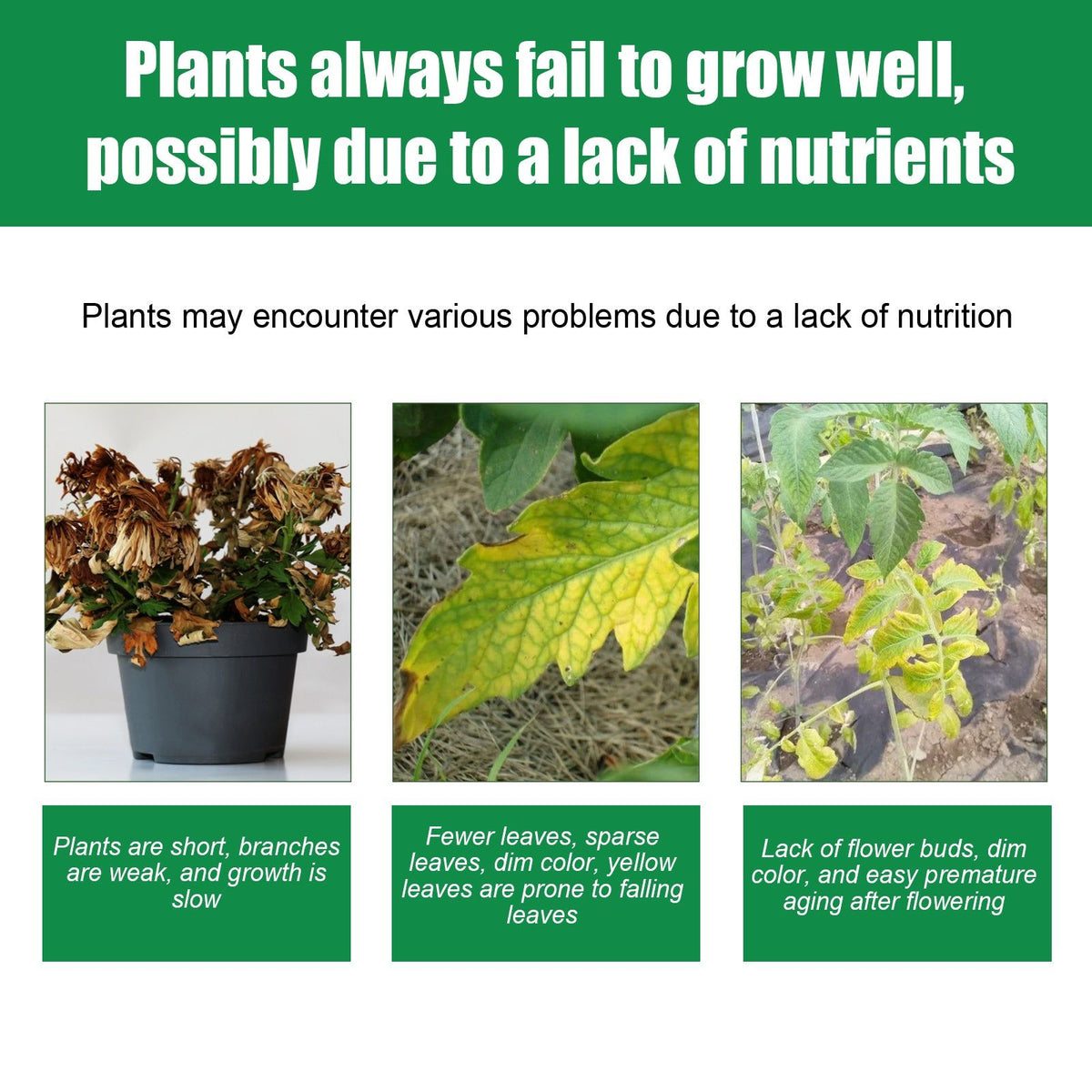 Boost Plant Growth with Nutrient Tablets, Fast-Acting, Eco-Friendly, Easy to Use ,22pcs