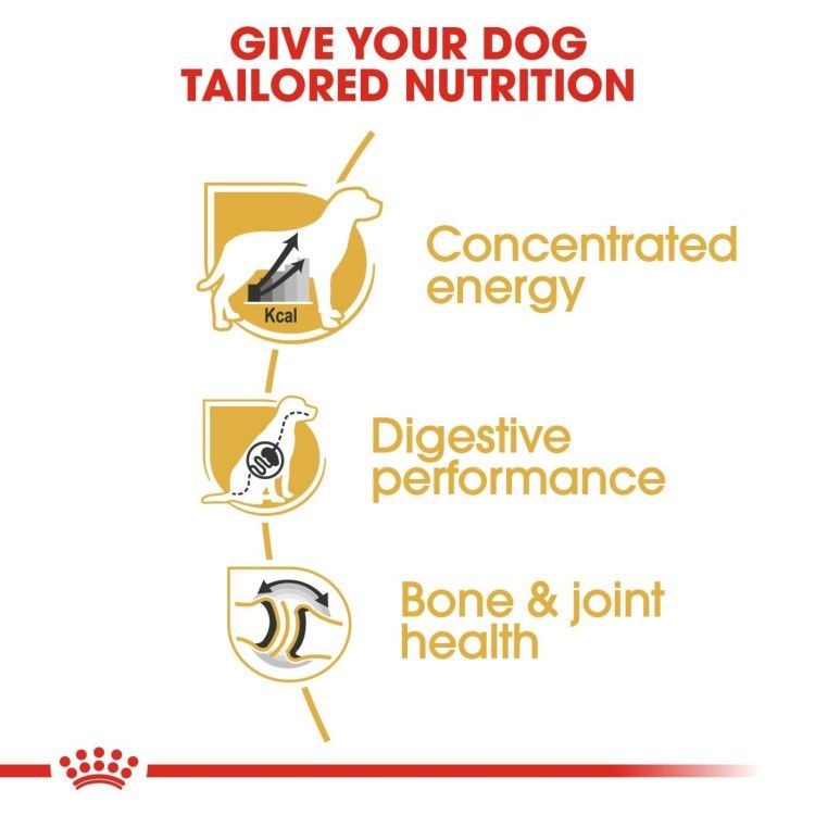 Breed Health Nutrition Great Dane Adult 12 KG