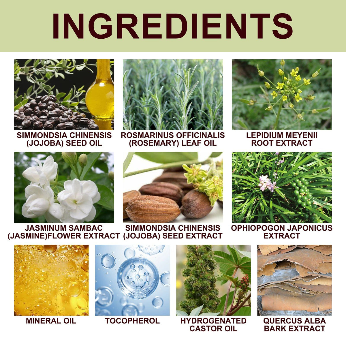 Boost Vitality with Men's Essential Oil, Enhance Performance, Moisturize, Natural Care ,10ml/box