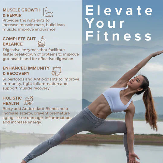 Wellbeing Nutrition Superfood Plant Protein Dark Chocolate Hazelnut