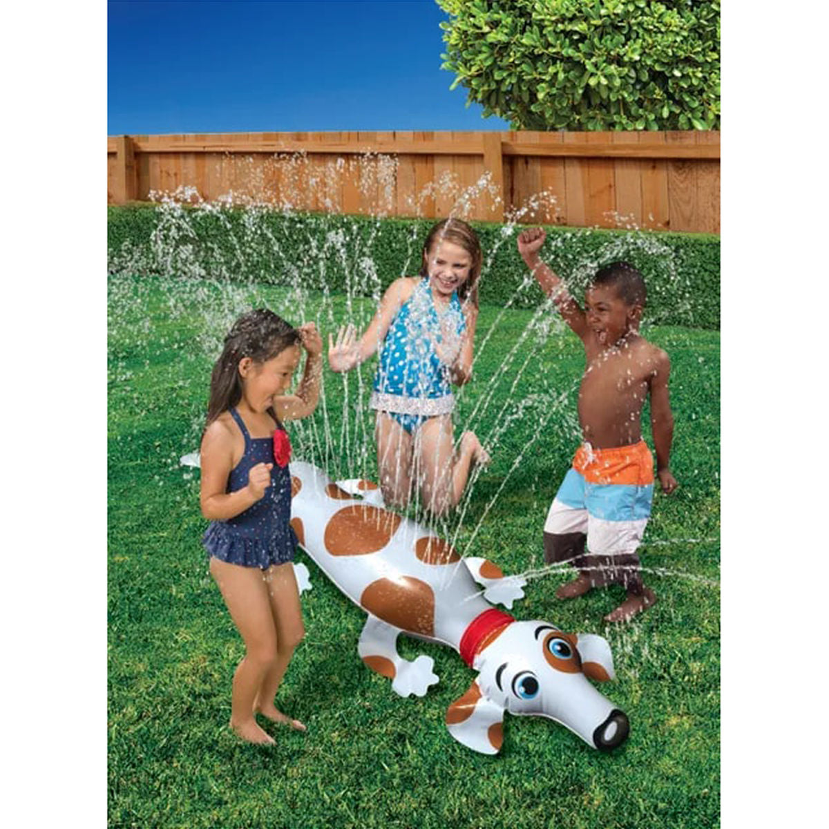 Puppy Backyard Critter