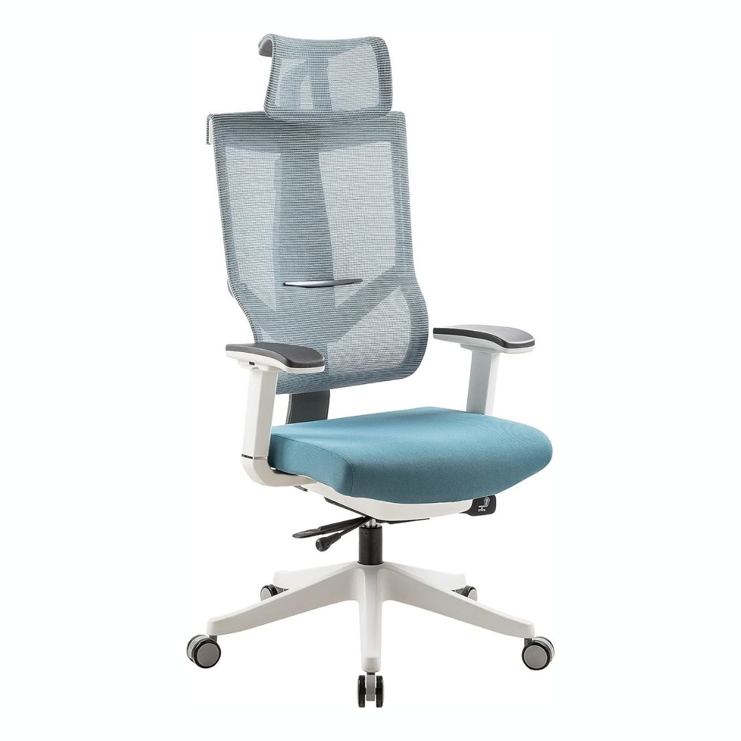 Navodesk AERO Chair, Premium Ergonomic Office & Computer Chair with 3D Armrests, High Back Executive Chair with Multi-adjustable, Marine Blue