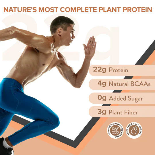 Wellbeing Nutrition Superfood Plant Protein Dark Chocolate Hazelnut