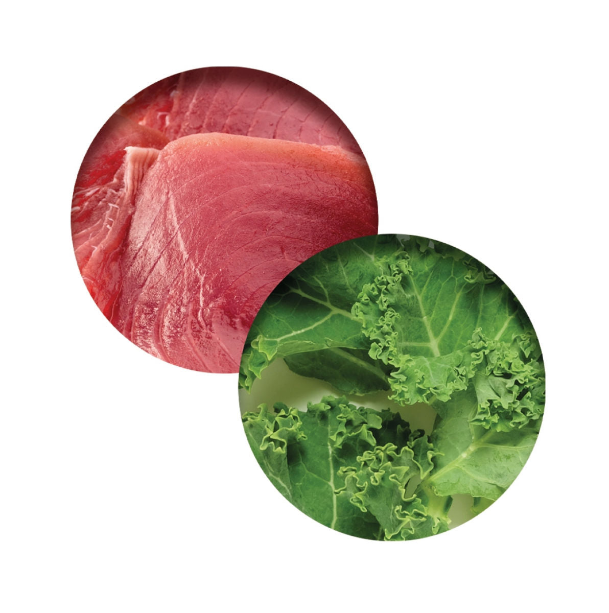 Catit Chicken Dinner, Tuna & Kale 80g - Box of 6