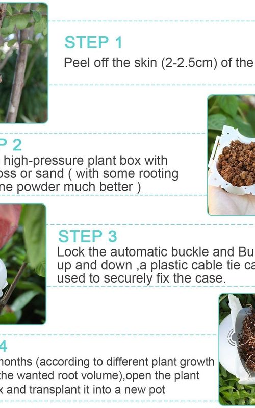Air Layering Propagation Balls Hight-pressure Plant Rooting Ball Root Grafting Growing Breed