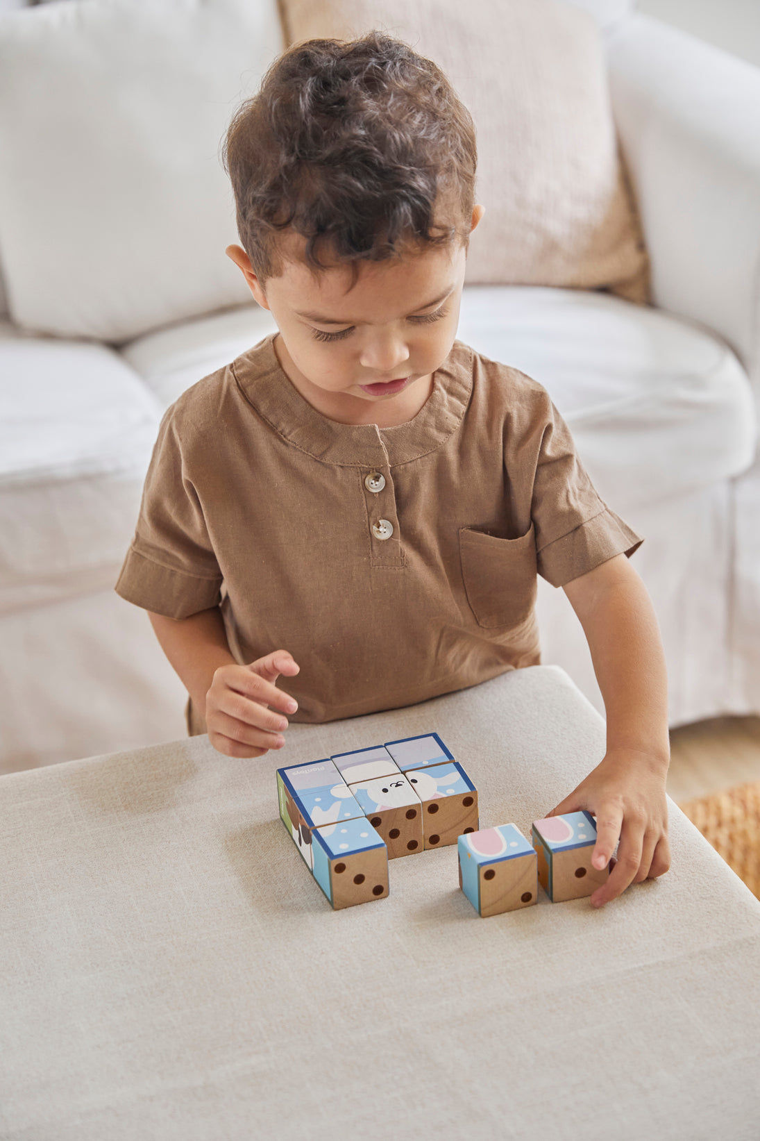 PlanToys Animal Puzzle Cubes