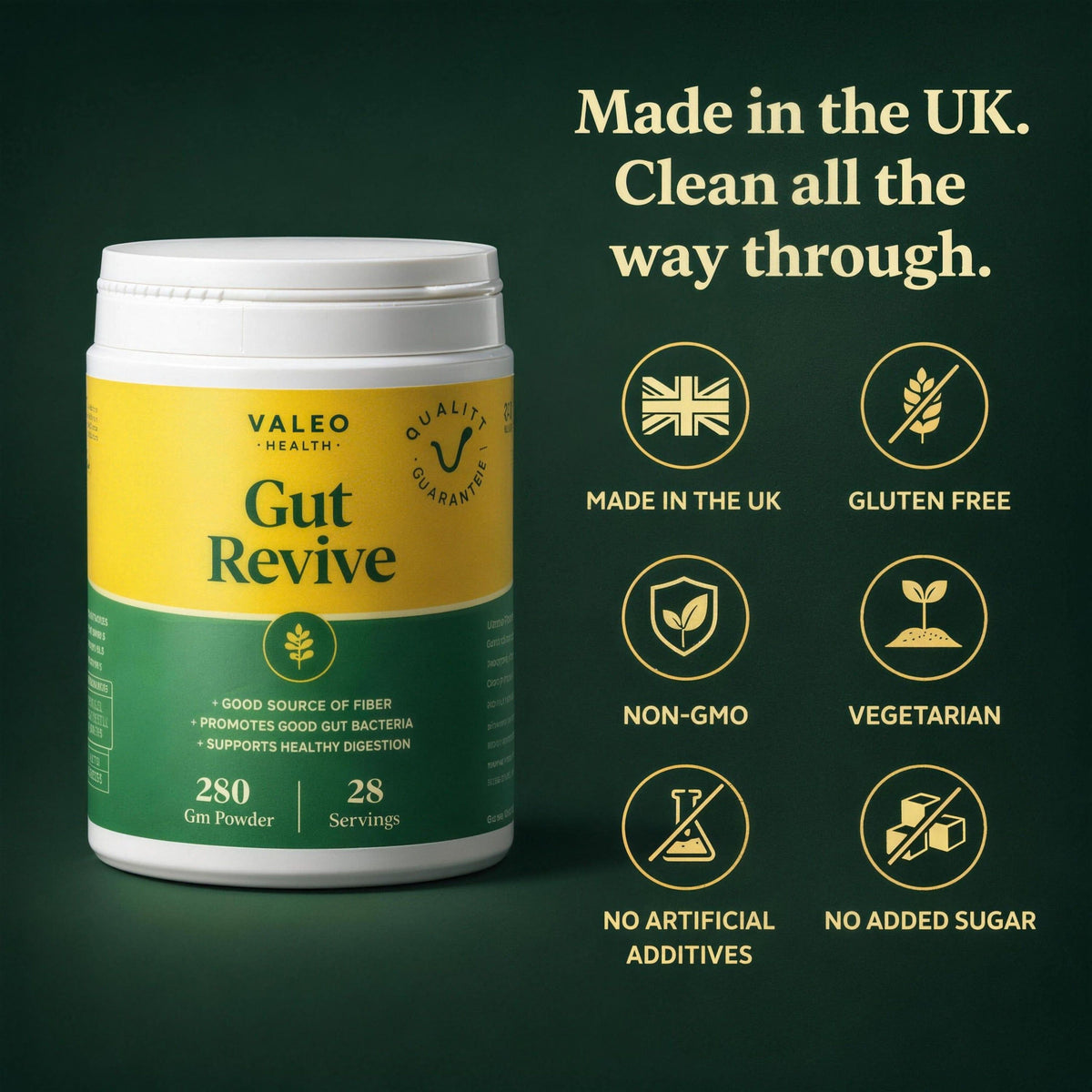 Valeo Gut Revive | Gut Cleanse for Women & Men | Prebiotics, Probiotics & Fiber for Digestive Health - 280g Powder