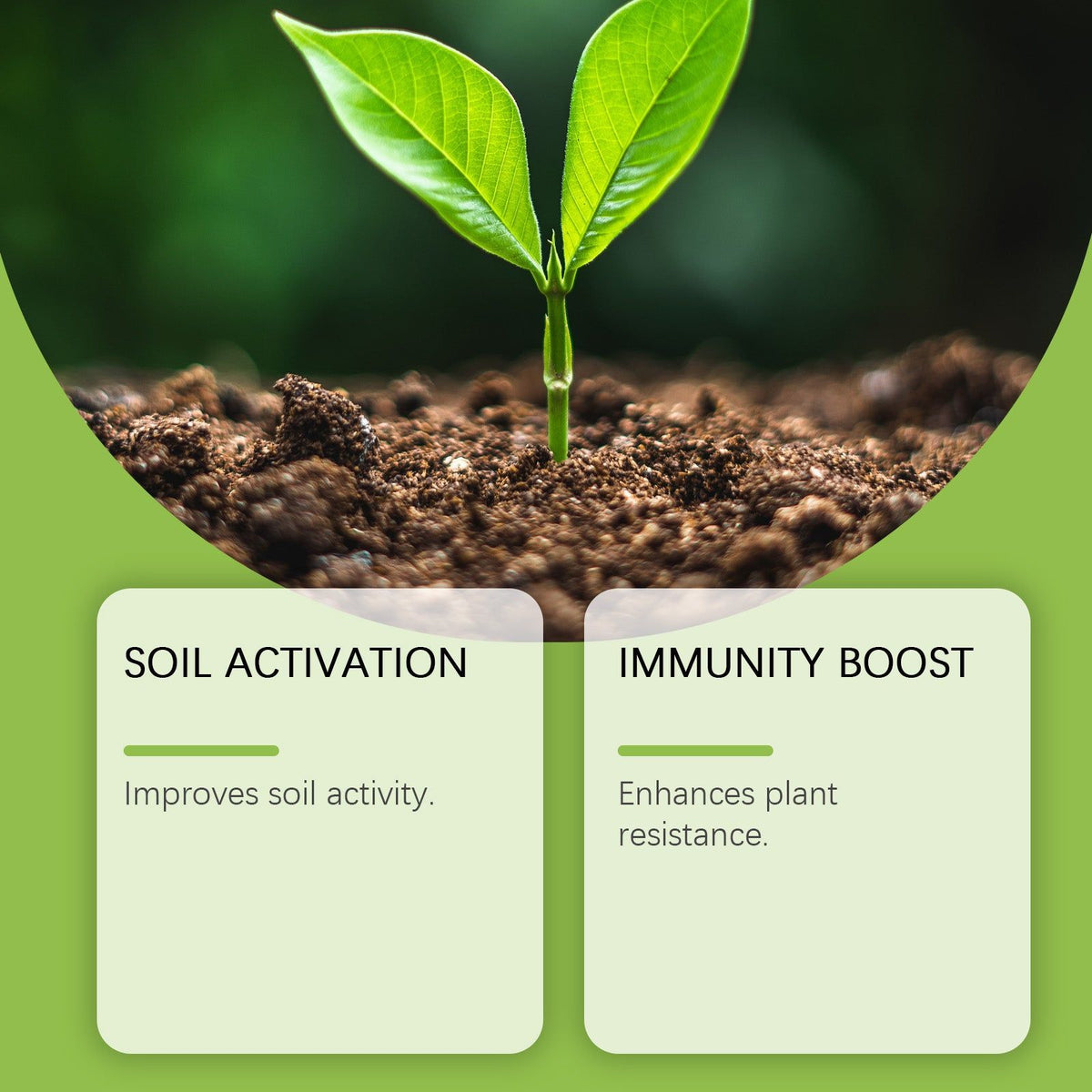 Boost Flower Growth Fertilizer, Indoor Outdoor Plant Booster, Easy Hydration Solution ,100g