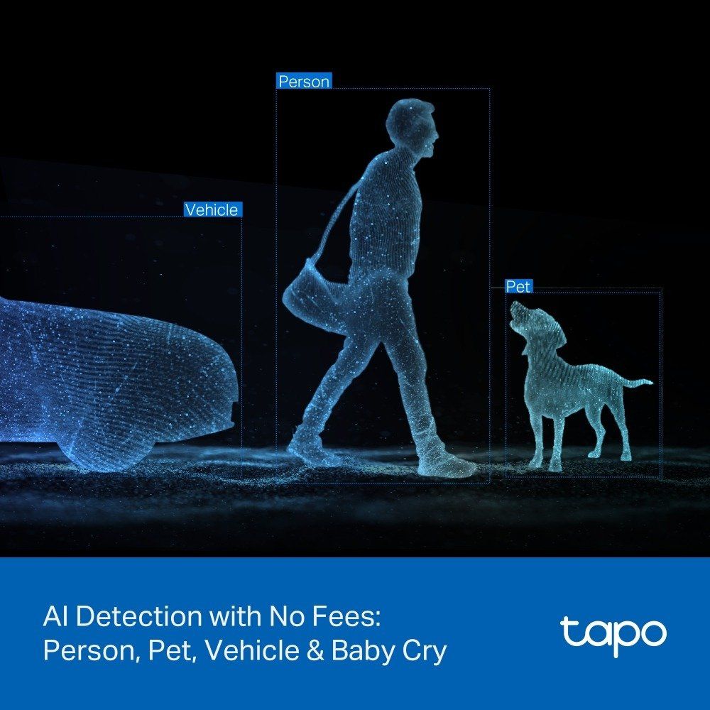 Tapo C246D In/Outdoor Dual Lens Pan/Tilt Camera