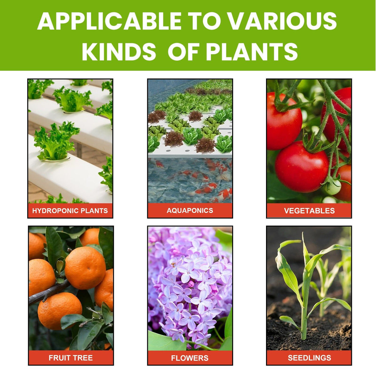 Boost Plant Growth Fast, Organic Plant Nutrient Solution for Healthy Roots and Vibrant Flowers ,50ml