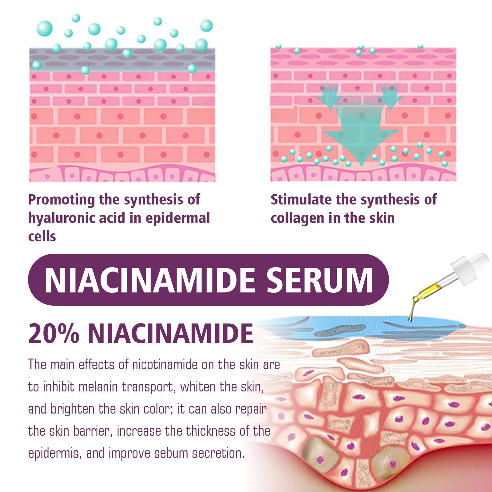 Revitalize Your Skin with Niacinamide Serum, Anti-Wrinkle, Firming, Brightening ,20ml