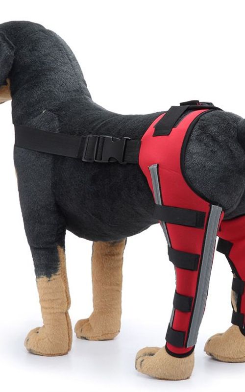Dog Hind Leg Elbow Joint Protection Belt For Heals Sprains Protects Wounds