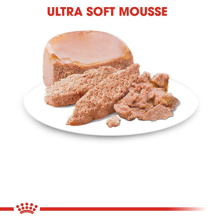 Feline Health Nutrition Mother & Babycat Mousse (Wet Food - Cans) 6 x 195 g