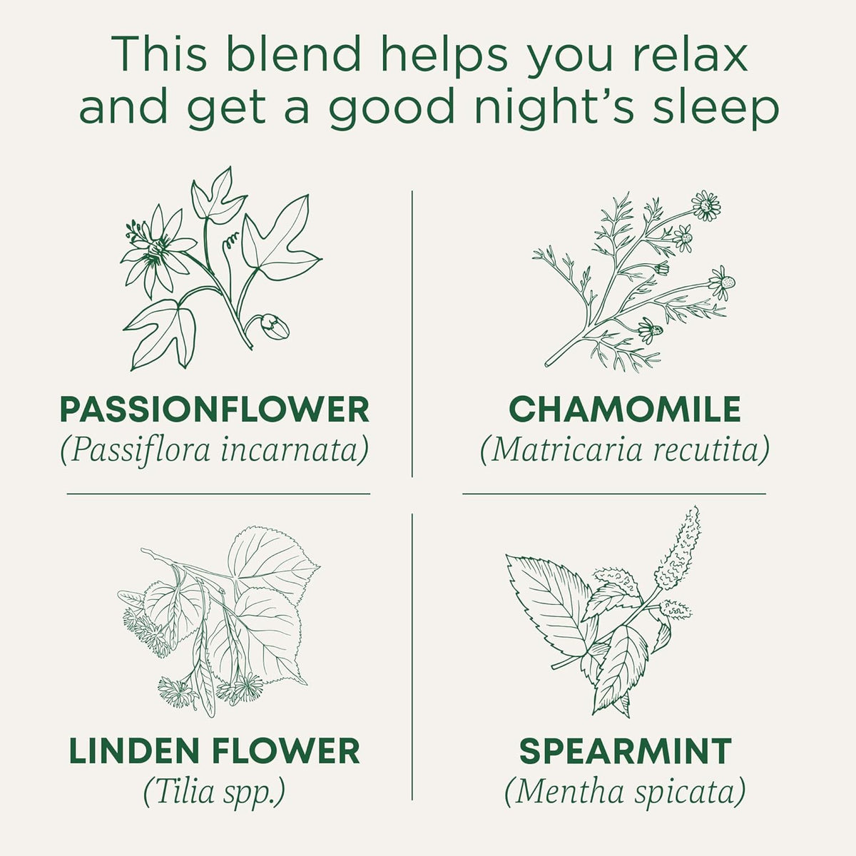 Traditional Medicinals, Organic Nighty Night Tea, 16 Ct