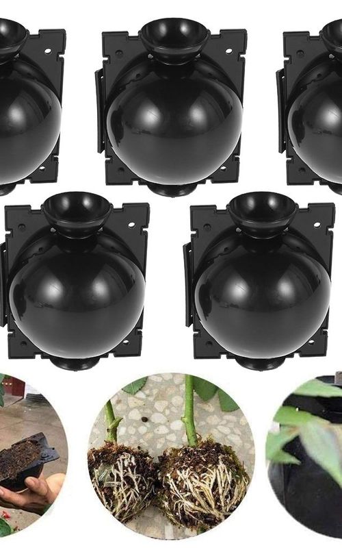 Air Layering Propagation Balls Hight-pressure Plant Rooting Ball Root Grafting Growing Breed