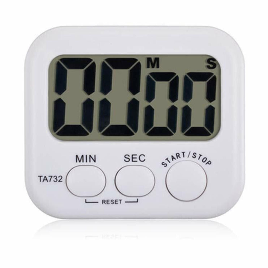 RSC Digital Timer, TA732 C19-255